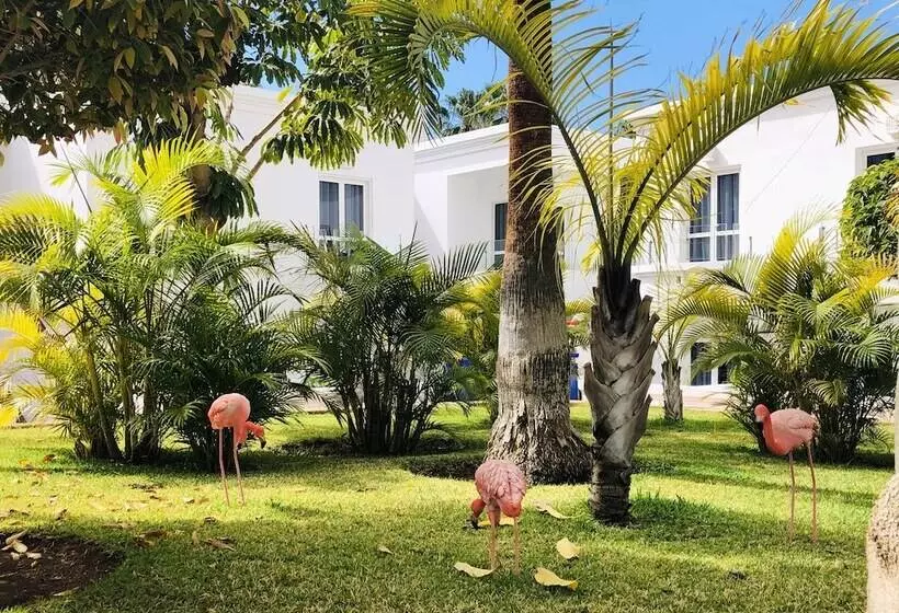 Fotos del hotel Flamingo Beach Mate:  19