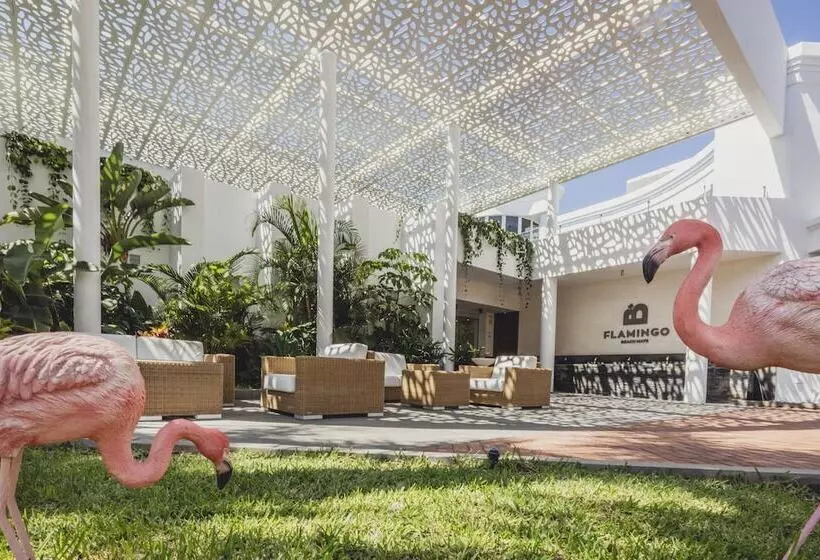 Fotos del hotel Flamingo Beach Mate:  16