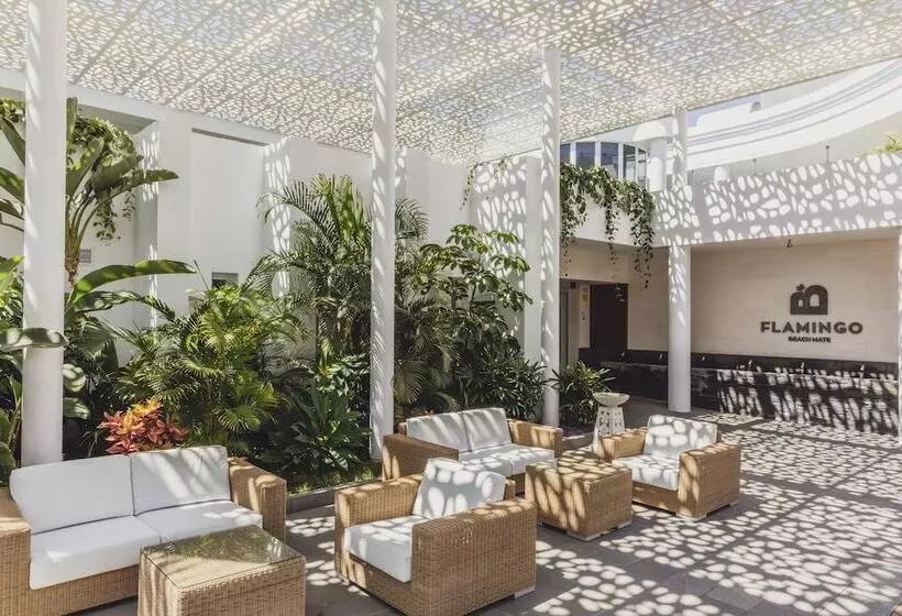 Fotos del hotel Flamingo Beach Mate:  3