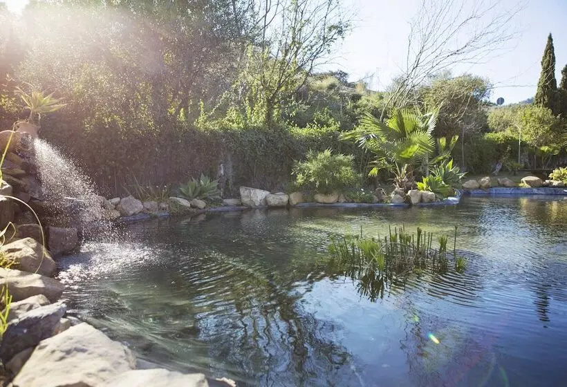 Fotos del hotel Cortijo San Antonio  Caminito Del Rey:  5