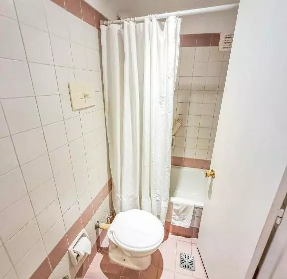 Fotos del hotel Dion:  5