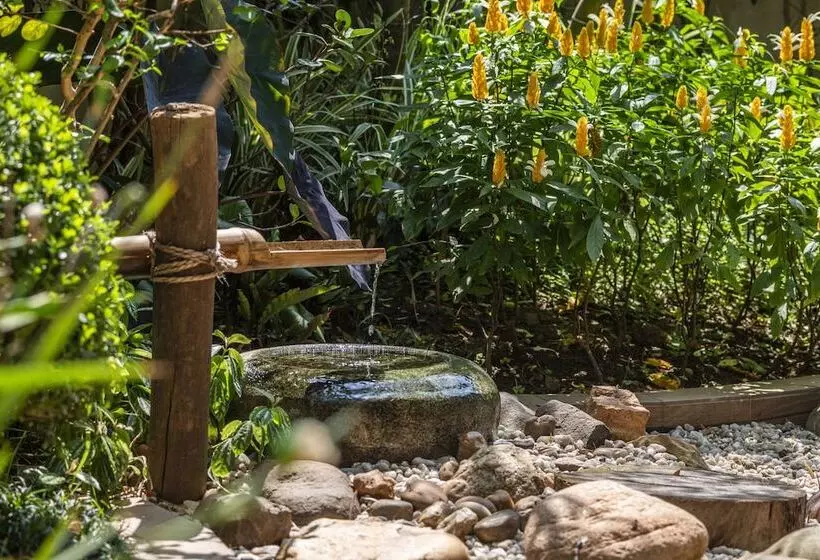 Fotos del hotel Matsubara:  25