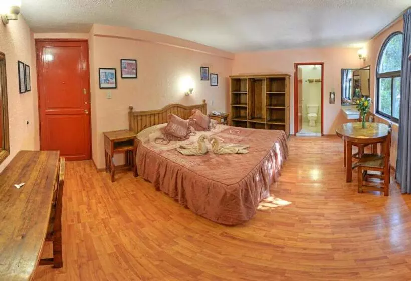 Fotos del hotel San Angel:  2