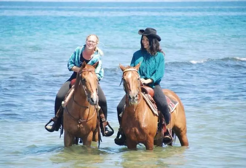 Fotos del hotel Horse Country Resort Congress &amp; Spa Hotel Ribot :  12