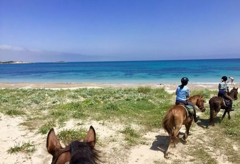 Fotos del hotel Horse Country Resort Congress &amp; Spa Hotel Ribot :  13