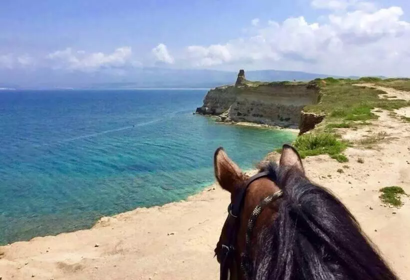 Fotos del hotel Horse Country Resort Congress &amp; Spa Hotel Ribot :  15