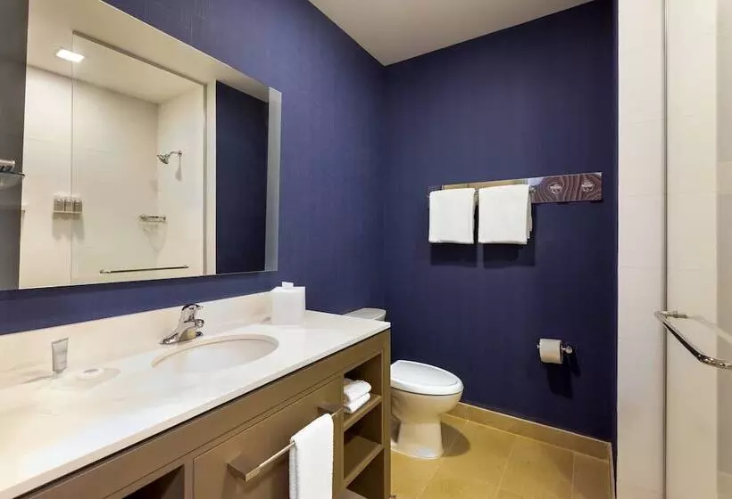 Fotos del hotel Residence Inn By Marriott Cancun  Zone:  21
