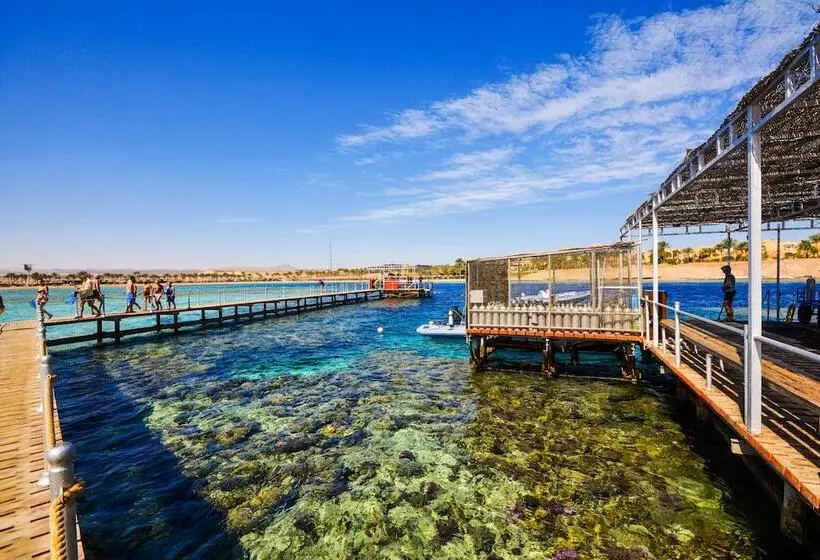 Fotos del hotel Jaz Dar El Madina:  34