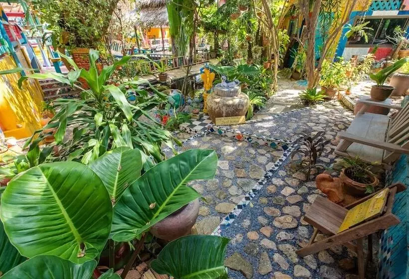 Fotos del hotel Varinda Garden Resort:  20