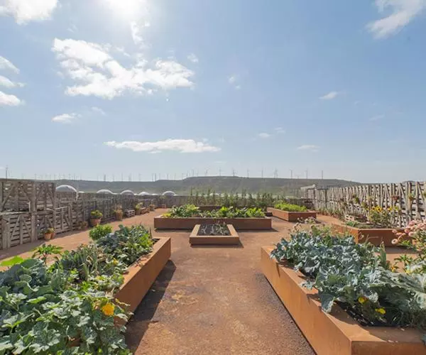 Fotos del hotel Aire De Bardenas:  17