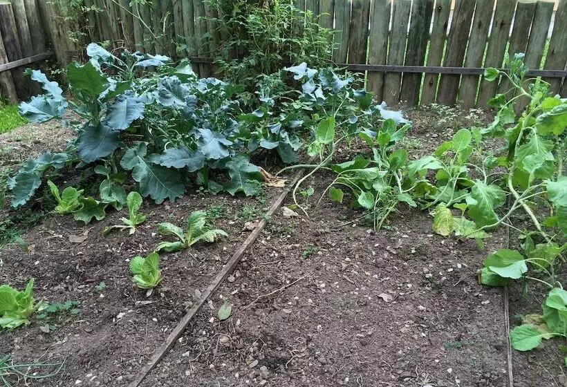 Fotos del hotel Pousada Vila Tamarindo Eco Lodge:  8