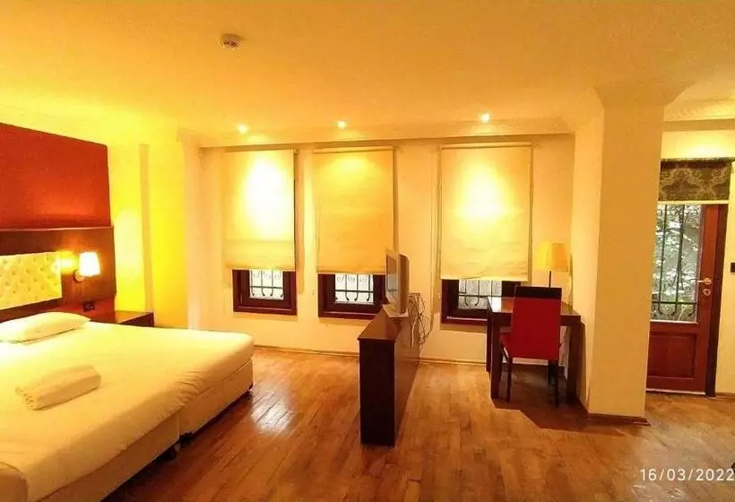 Fotos del hotel Mangana Konak:  14