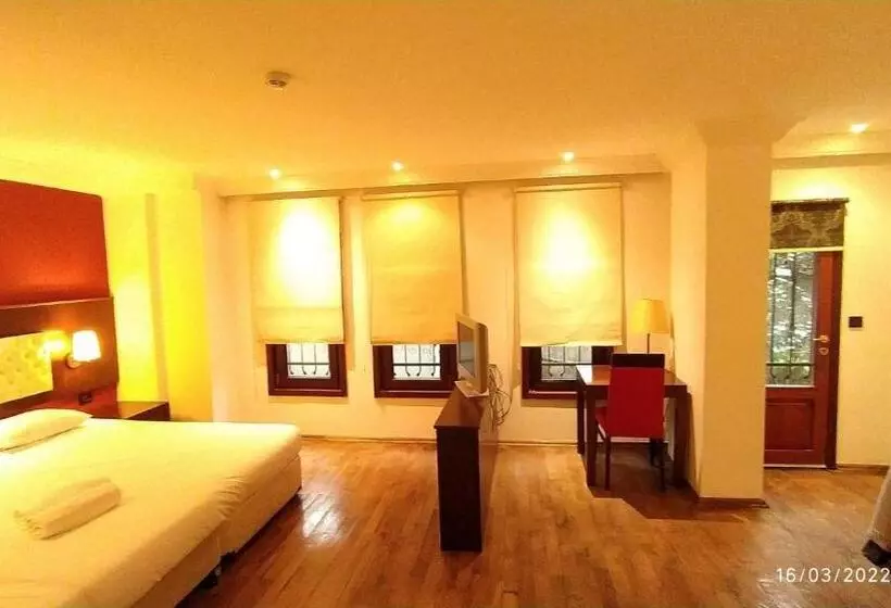 Fotos del hotel Mangana Konak:  21