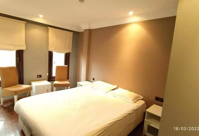 Fotos del hotel Mangana Konak:  22