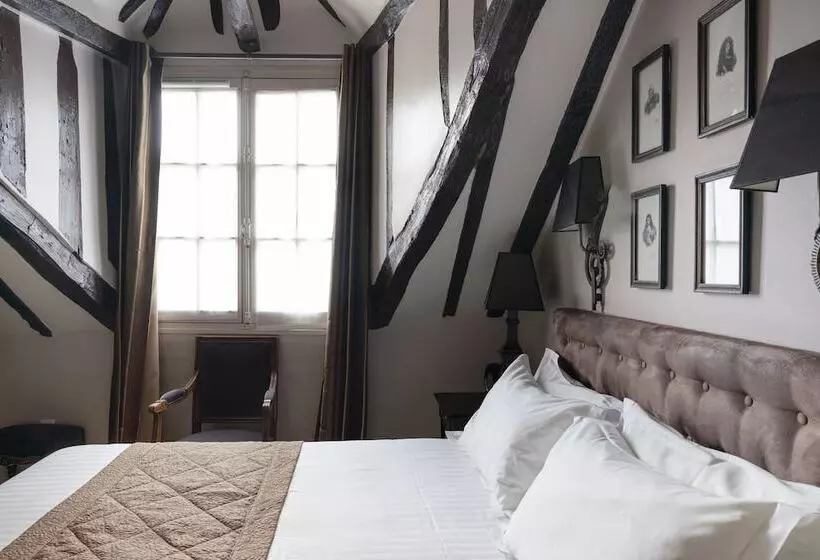 Fotos del hotel Hôtel Saintlouis Marais:  9