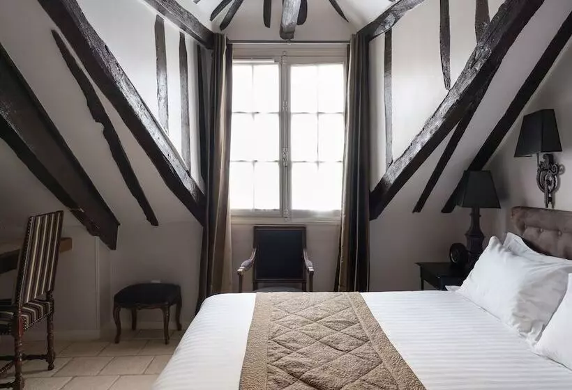 Fotos del hotel Hôtel Saintlouis Marais:  8