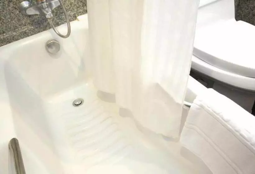 Fotos del hotel Majestic Suites:  22