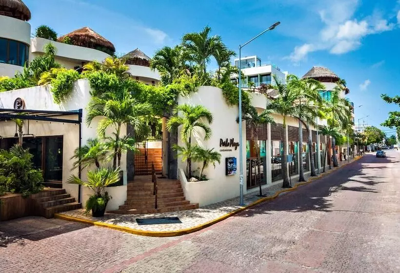 Fotos del hotel Porto Playa Condo Hotel And Beach Club:  2