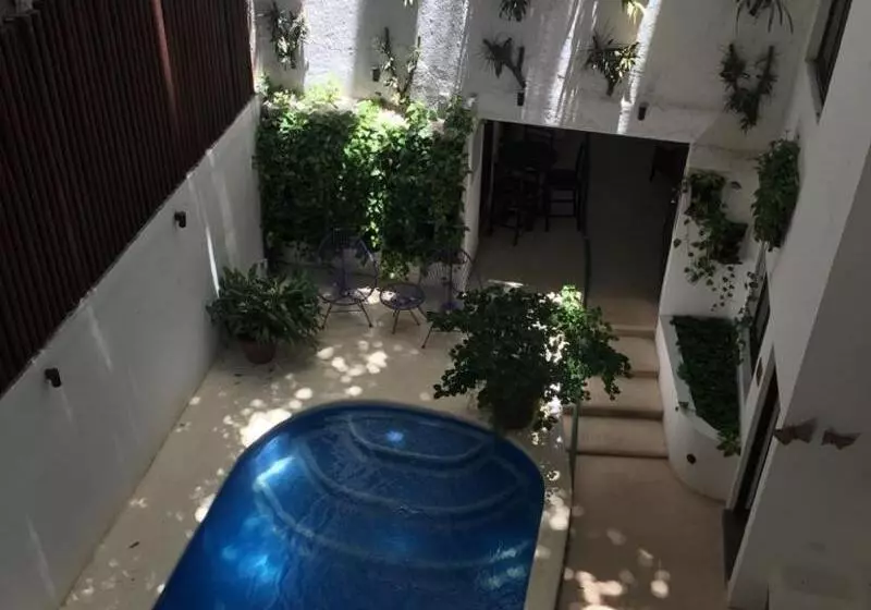 Fotos del hotel Boutique Casa Ticul 5th Av By Bfh:  23