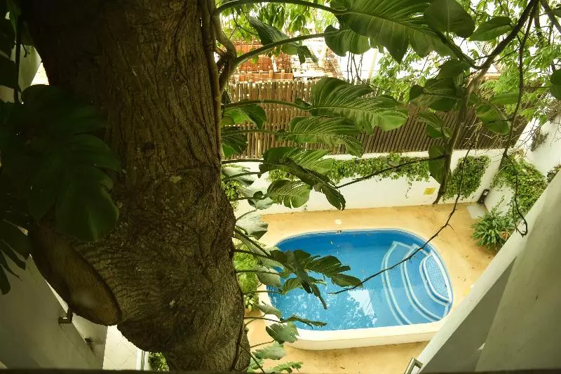 Fotos del hotel Boutique Casa Ticul 5th Av By Bfh:  17