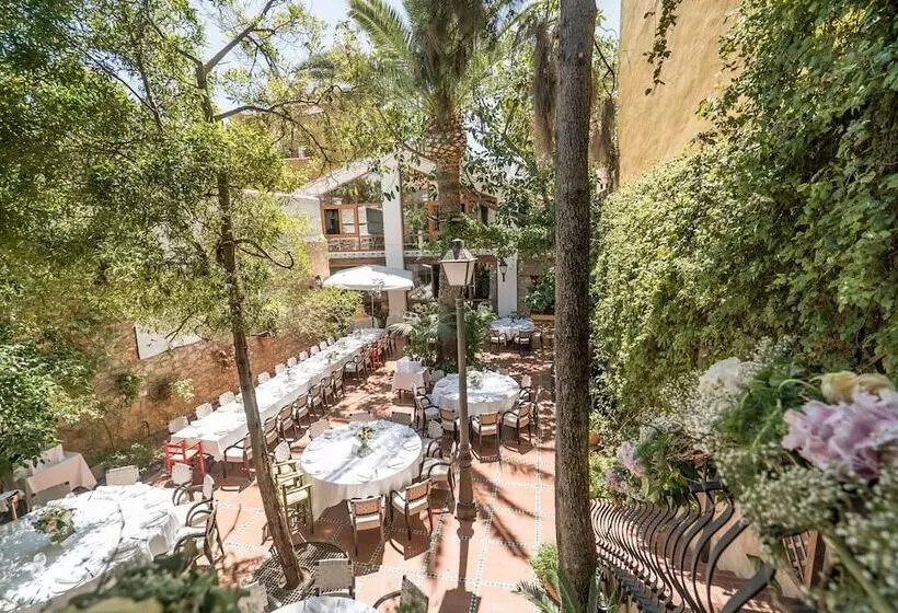 Fotos del hotel Nou Roma:  15