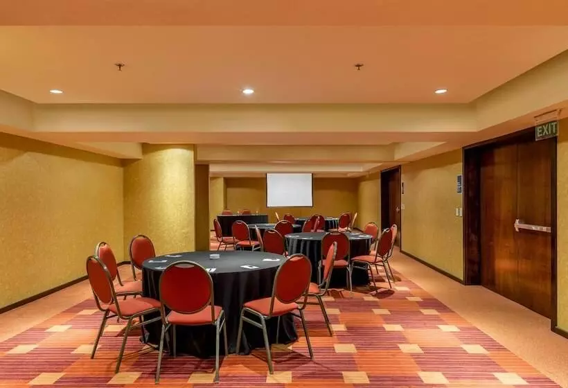 Fotos del hotel Sheraton Mendoza:  11