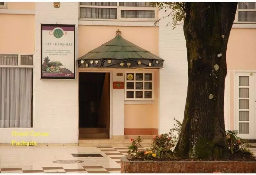 Fotos del hotel Monti:  5