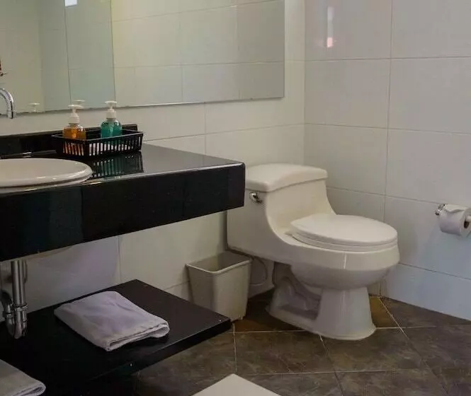 Fotos del hotel Confort 80 Zona Rosa:  14