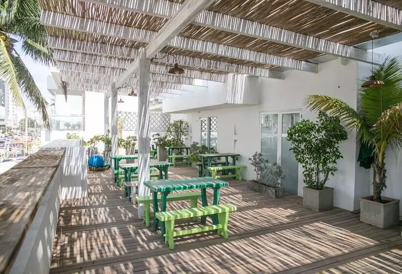 Fotos del hotel Barahona 446:  11