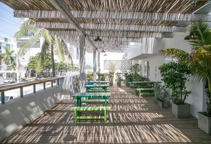 Fotos del hotel Barahona 446:  8