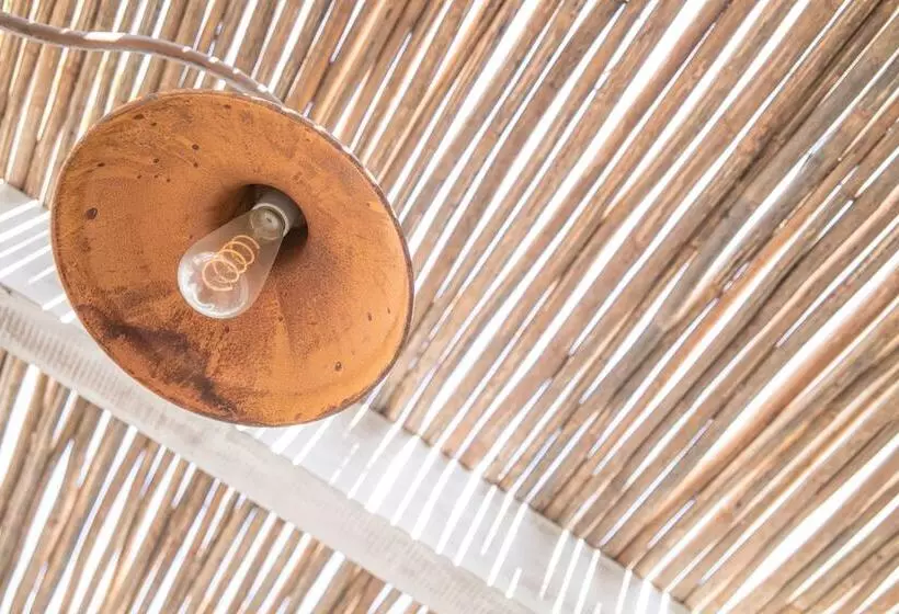 Fotos del hotel Barahona 446:  12