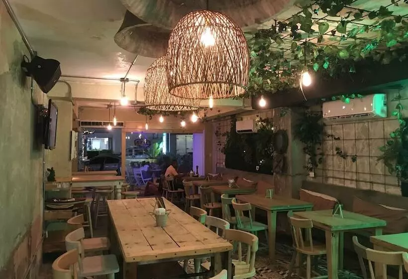 Fotos del hotel Barahona 446:  10