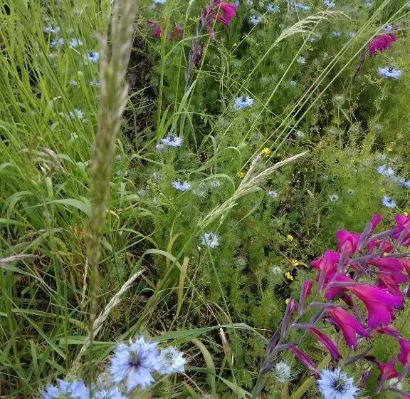 Fotos del hotel Barclay Court Guest House:  5