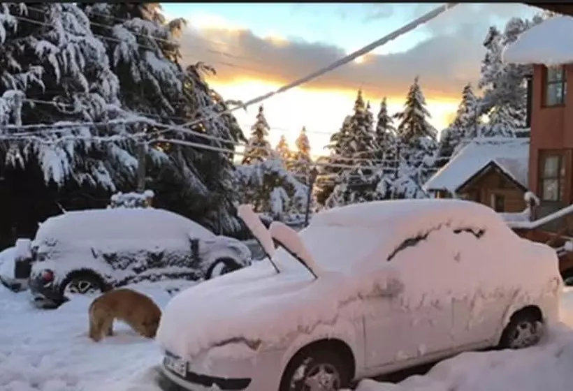 Fotos del hotel Cabañas Del Arroyo:  14