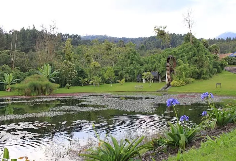 Fotos del hotel Estelar Recinto Del Pensamiento Hotel Y Centro De Convenciones:  5