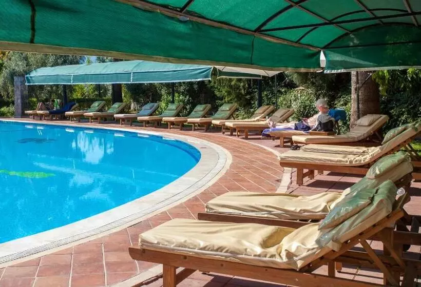 Fotos del hotel Rebin Beach:  22