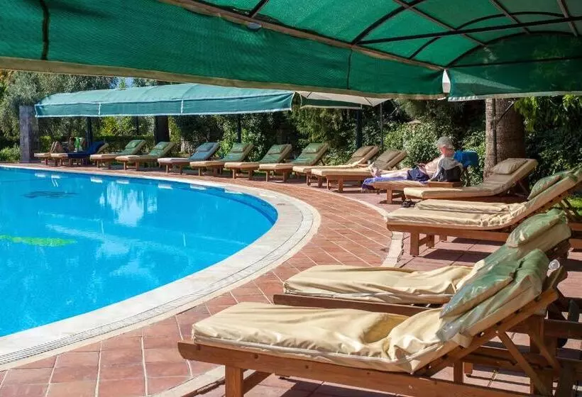 Fotos del hotel Rebin Beach:  21