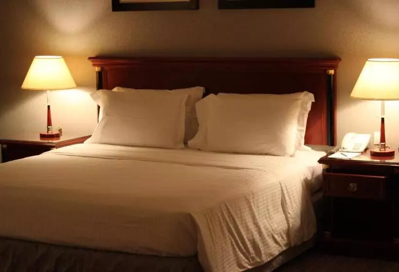 Fotos del hotel Executives Hotel  Olaya:  7