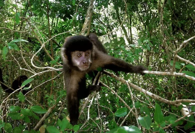 Fotos del hotel La Cantera Lodge De Selva By Don:  4