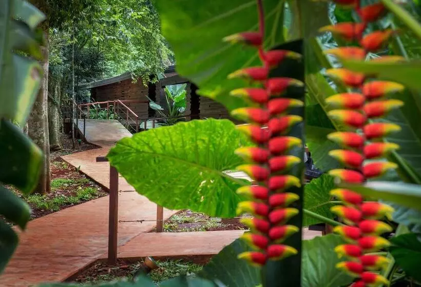 Fotos del hotel La Cantera Lodge De Selva By Don:  8