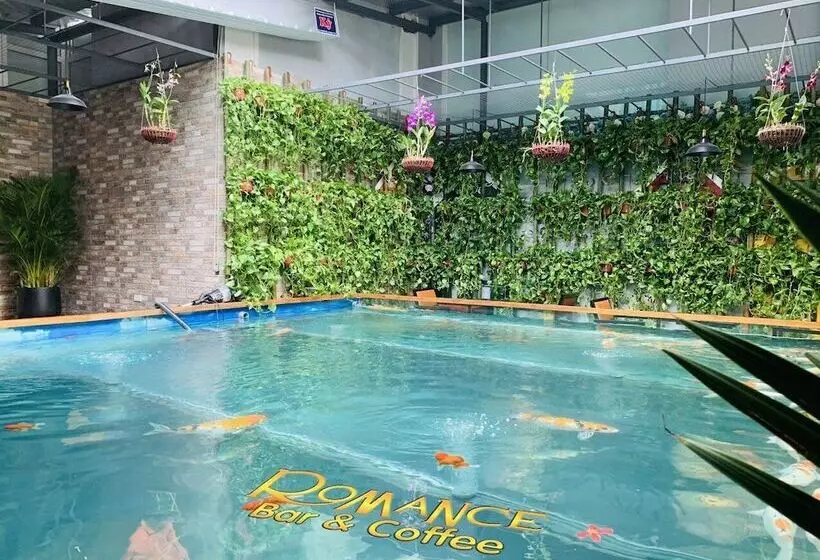 Fotos del hotel Romance:  3