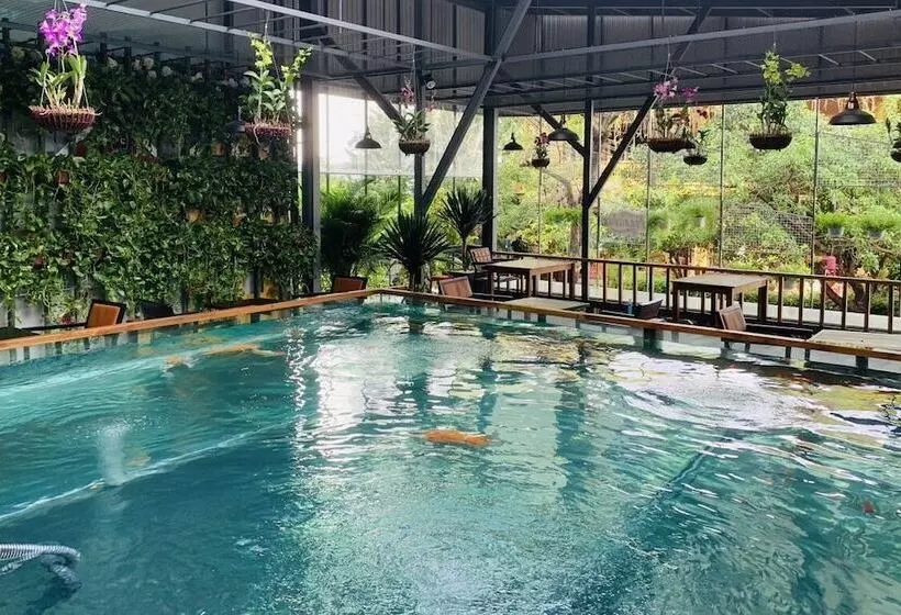 Fotos del hotel Romance:  12