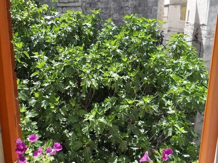 Fotos del hotel Villa Ruzica:  10