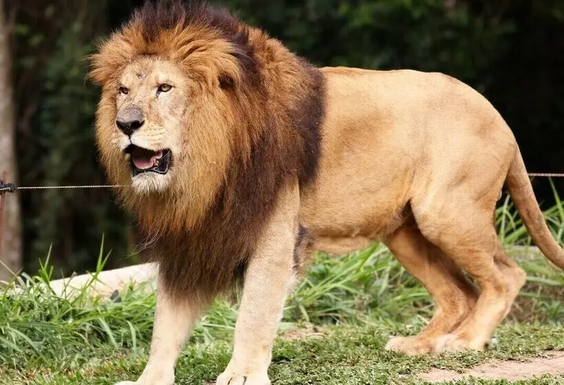 Fotos del hotel Holiday Inn Express Sandtonwoodmead, An Ihg:  8