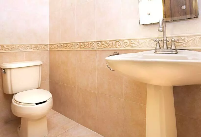 Fotos del hotel Casa Del Virrey  And Suites:  21