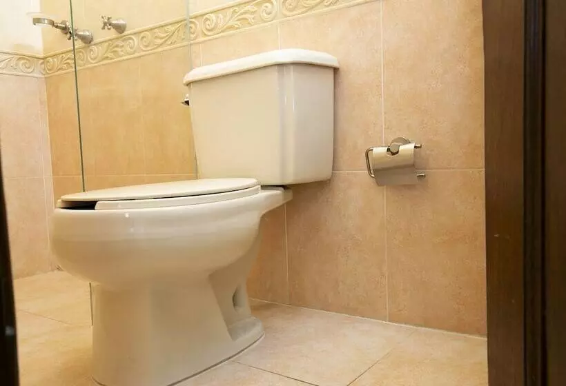 Fotos del hotel Casa Del Virrey  And Suites:  19