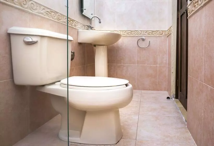 Fotos del hotel Casa Del Virrey  And Suites:  13