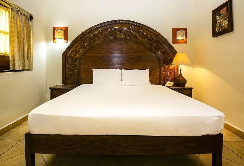 Fotos del hotel Casa Del Virrey  And Suites:  18