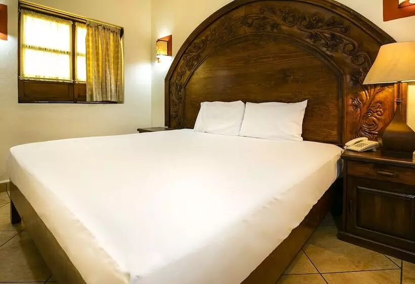 Fotos del hotel Casa Del Virrey  And Suites:  20