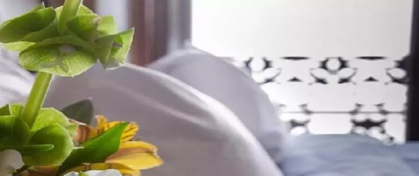 Fotos del hotel Casa Aspeytia  Boutique:  7